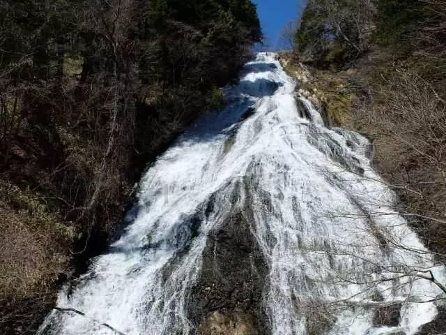 《宫墙柳》江映柳动心三天已燃成灰，一辈子替身只得皇帝三声谢谢